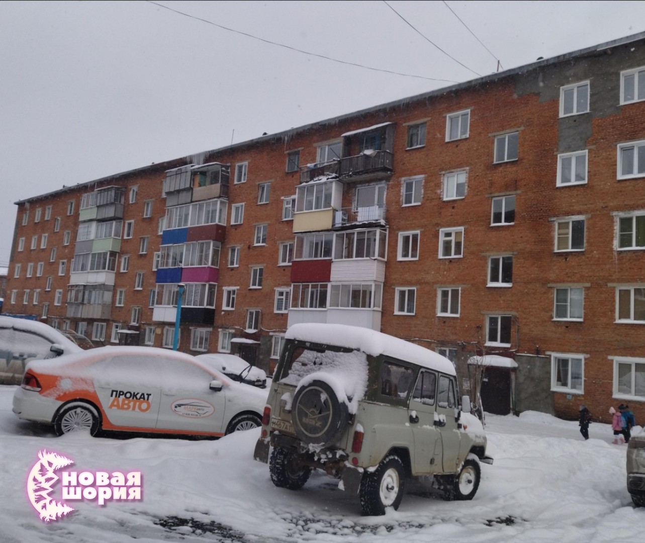 Житель Шерегеша убедил полицейского, что не избивал двухмесячного щенка